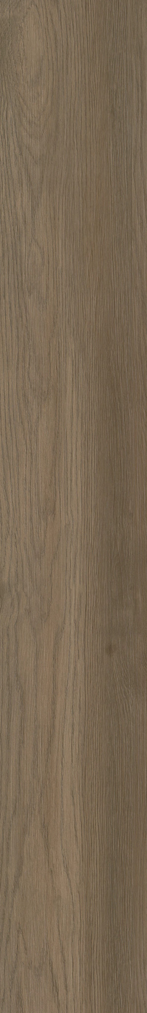 Native Pecan