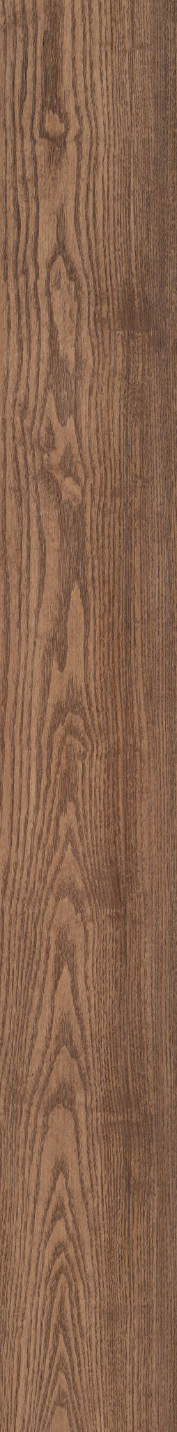 Cloves swatch