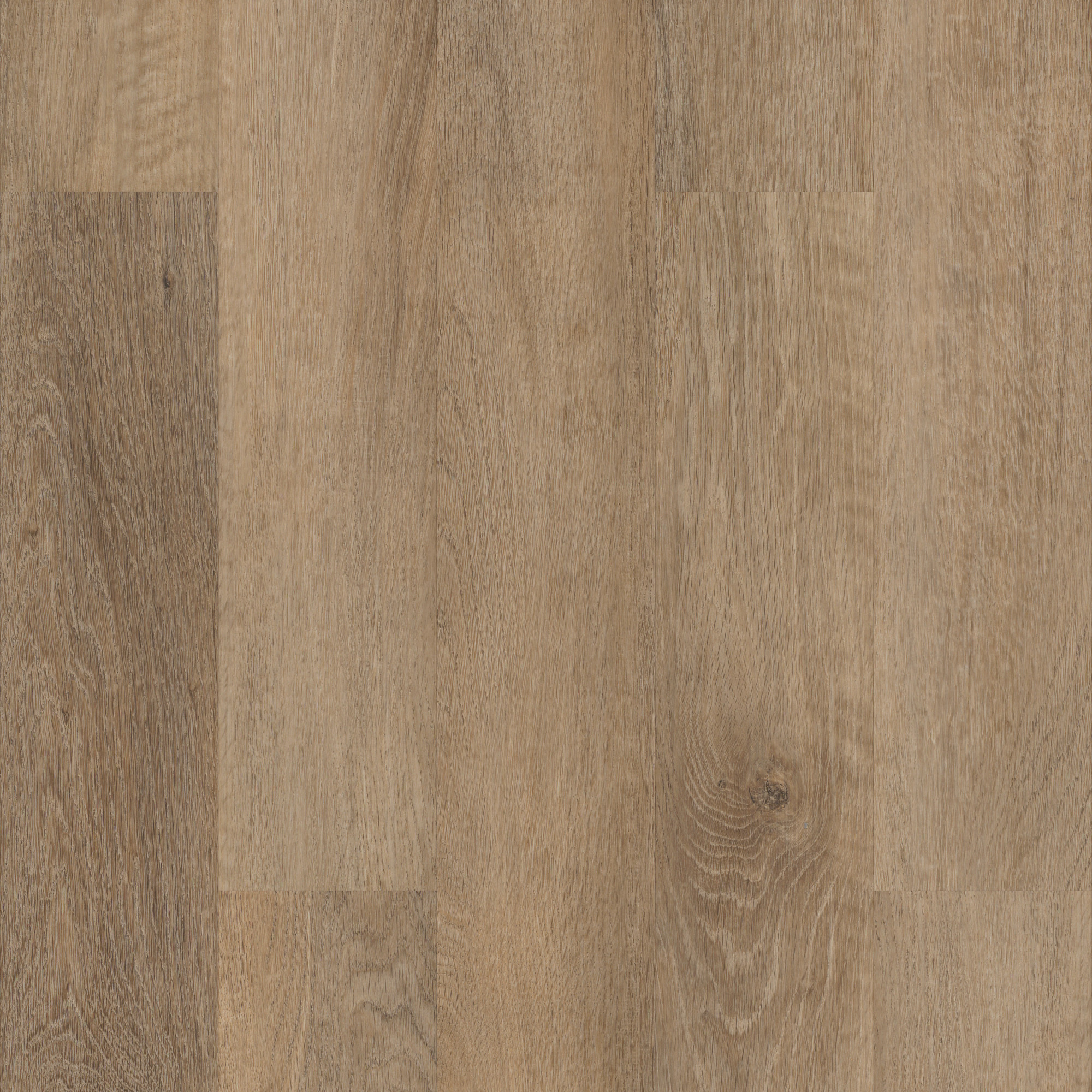 Brockport Oak swatch