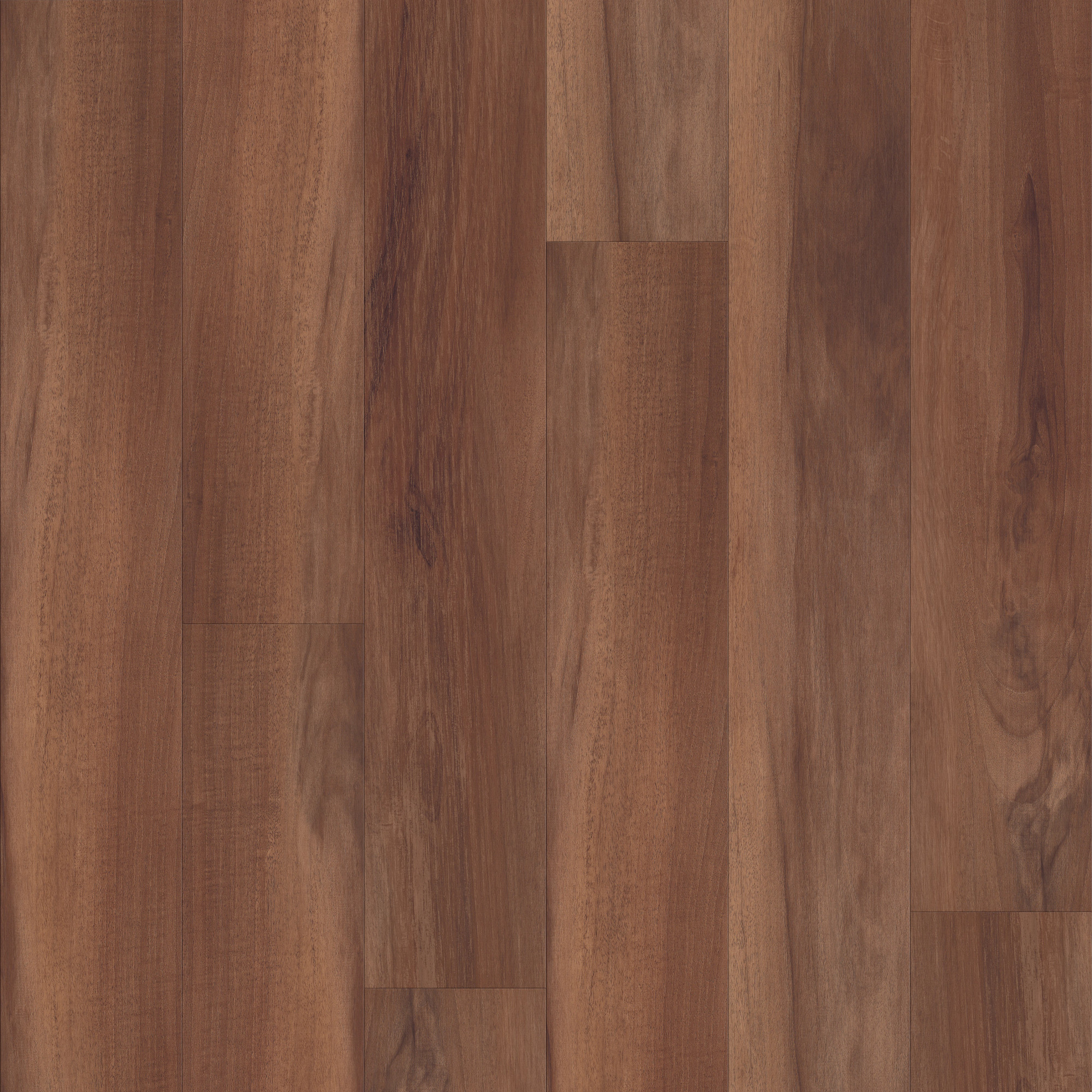 Cinnamon, laid flat, seen from above