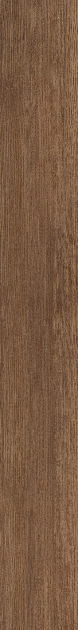 Cloves swatch