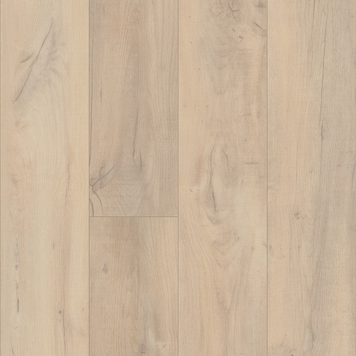 Noble Oak