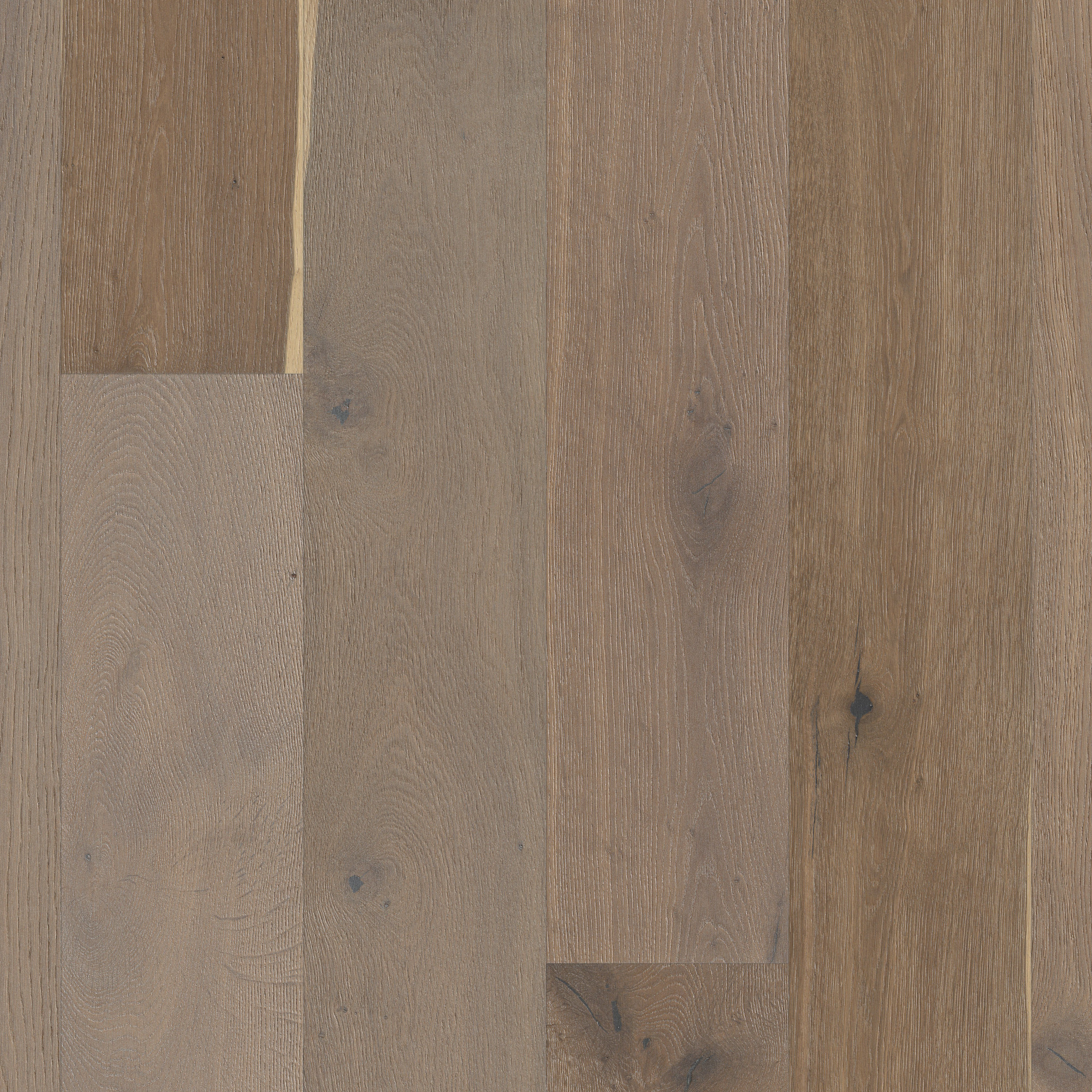 Modern Bronze swatch