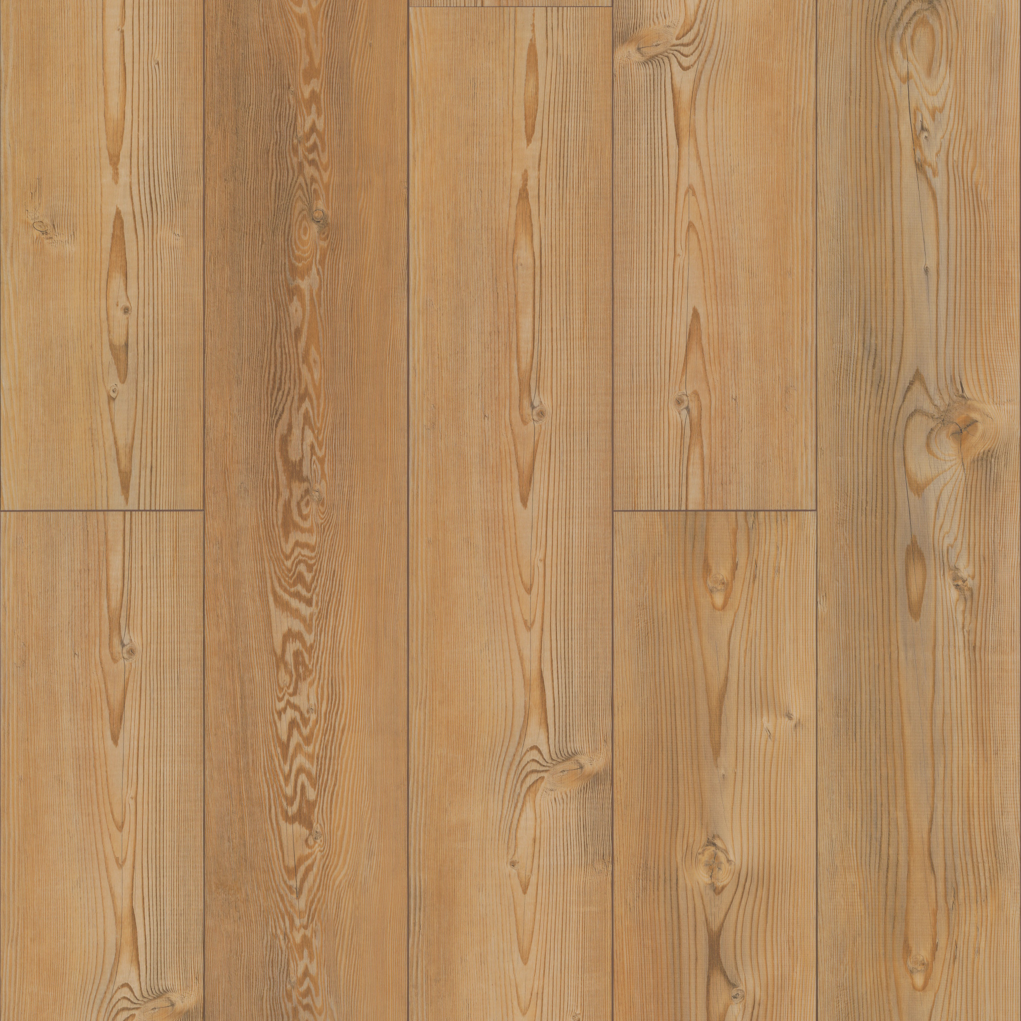 Berlin Pine swatch