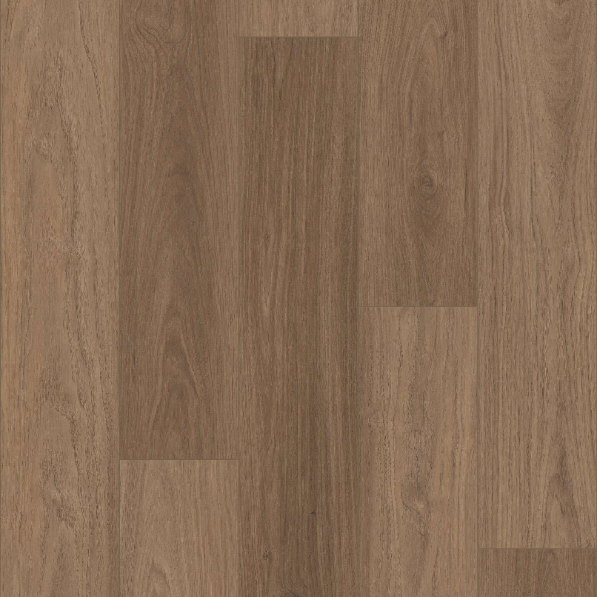 Cinnamon swatch
