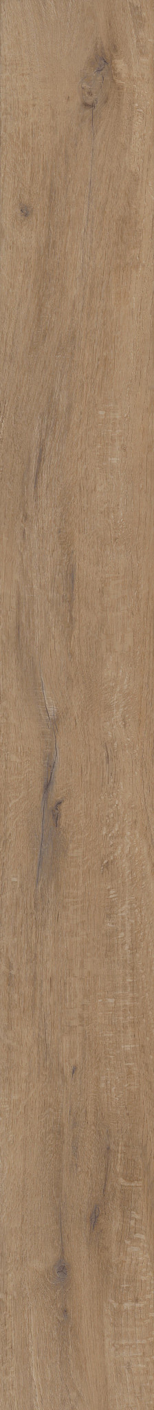 Grande Goldin Oak swatch