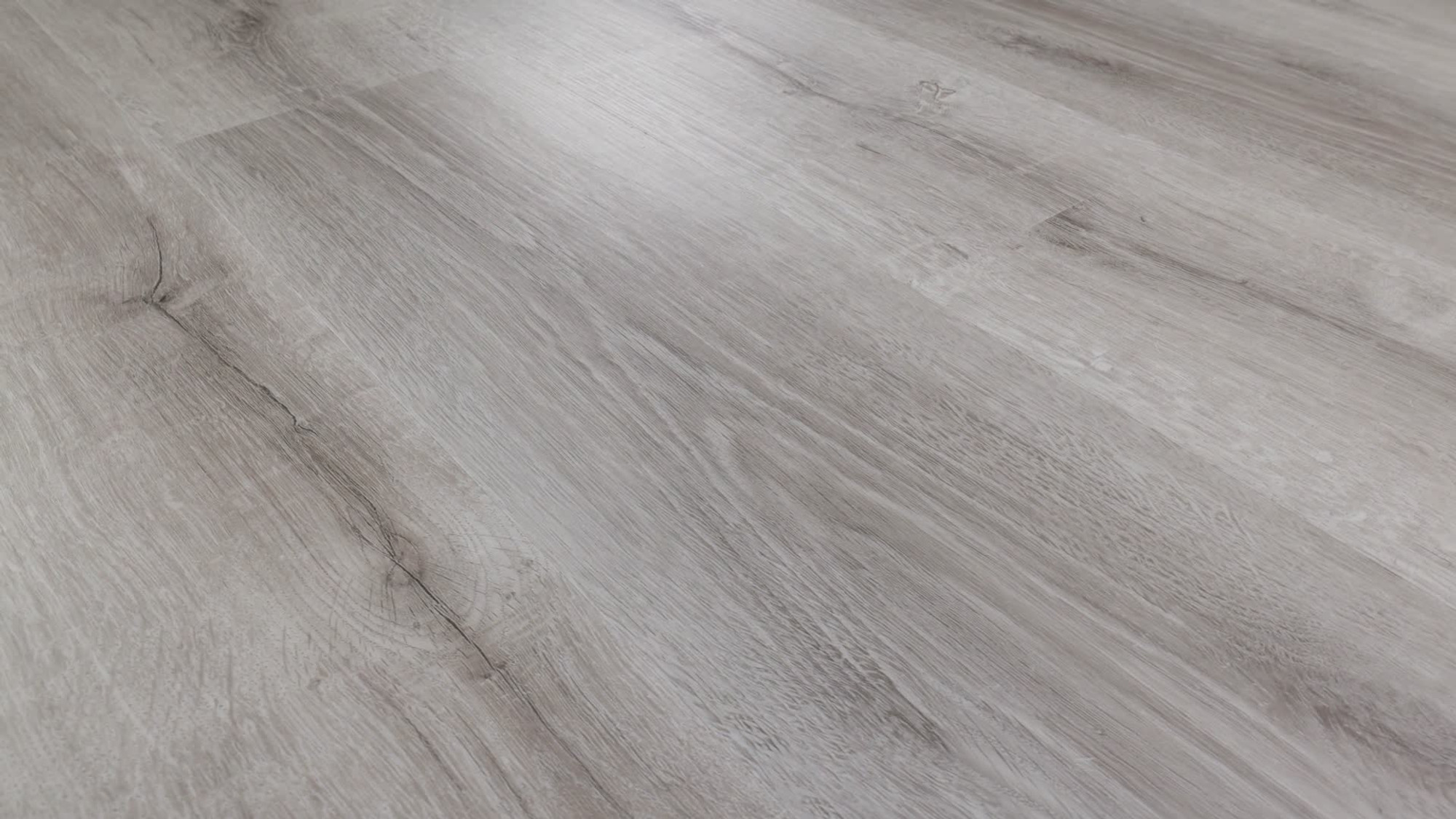 Beach Oak, the manufacturer's 360 video