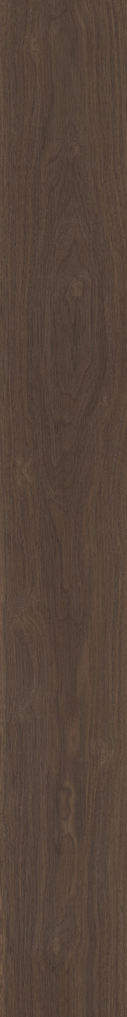 Terra swatch
