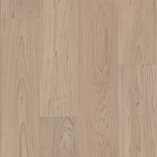 Vanilla Grove Maple