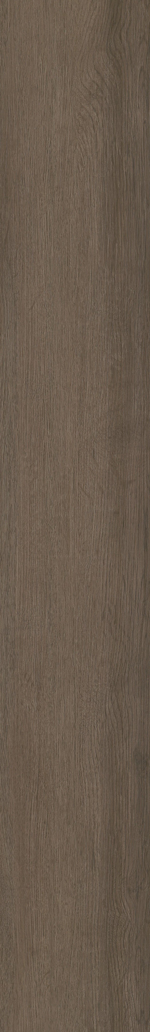 Seneca Oak