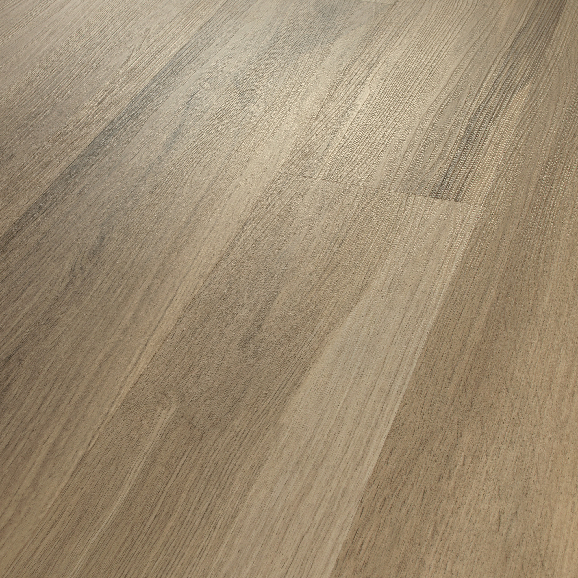 Almond Oak, seen at an angle