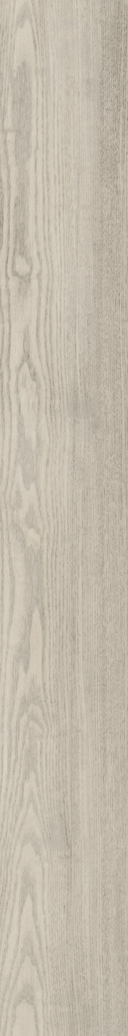 Shoreline swatch