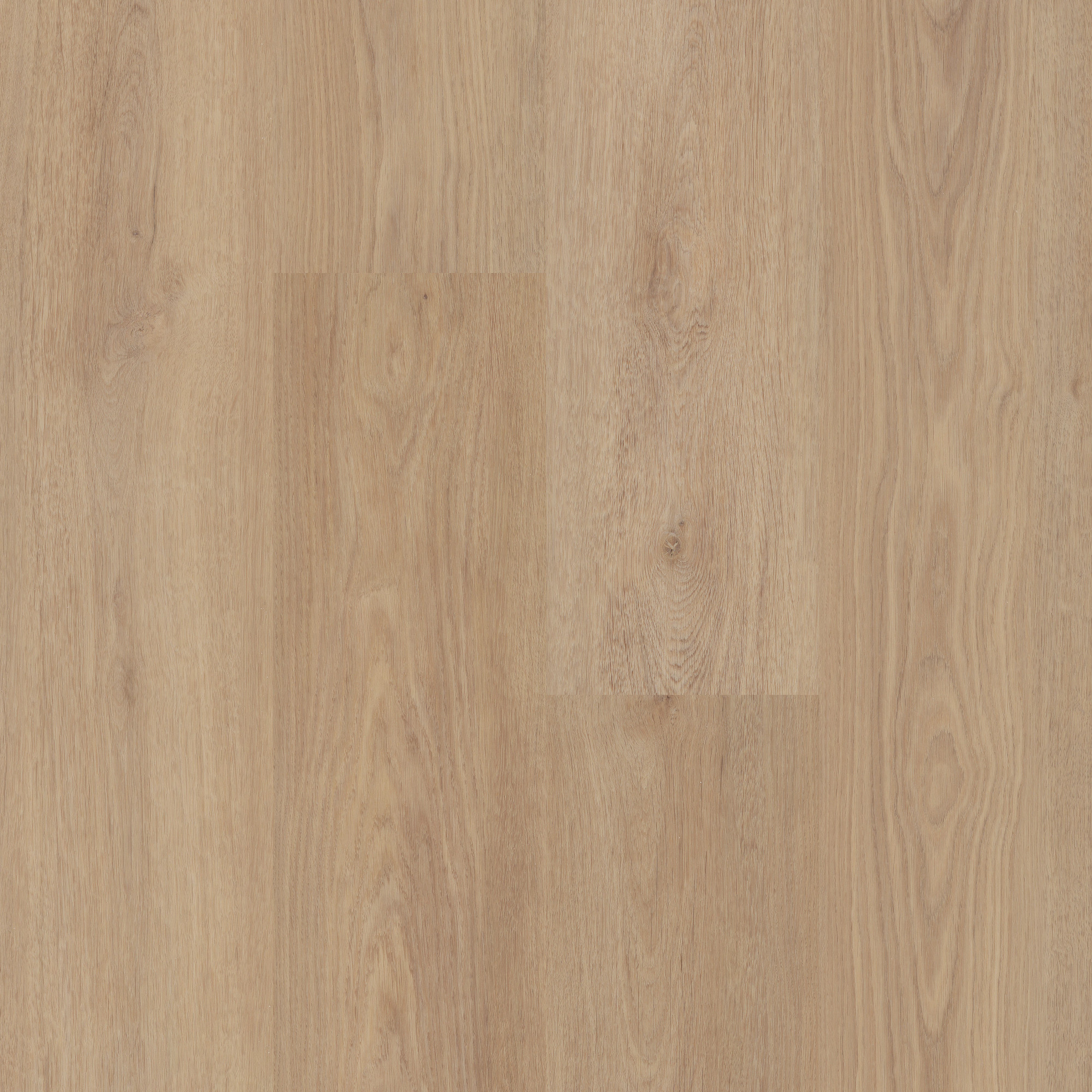 Wheat Oak swatch