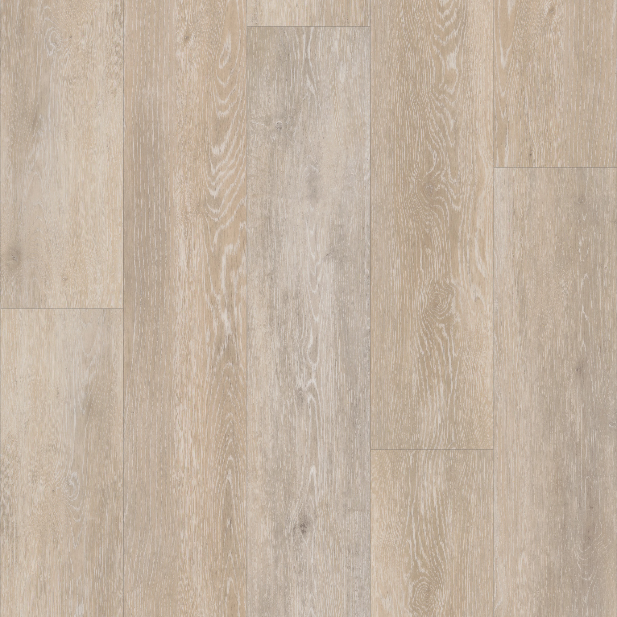 Ivory Coast Oak, laid flat, seen from above