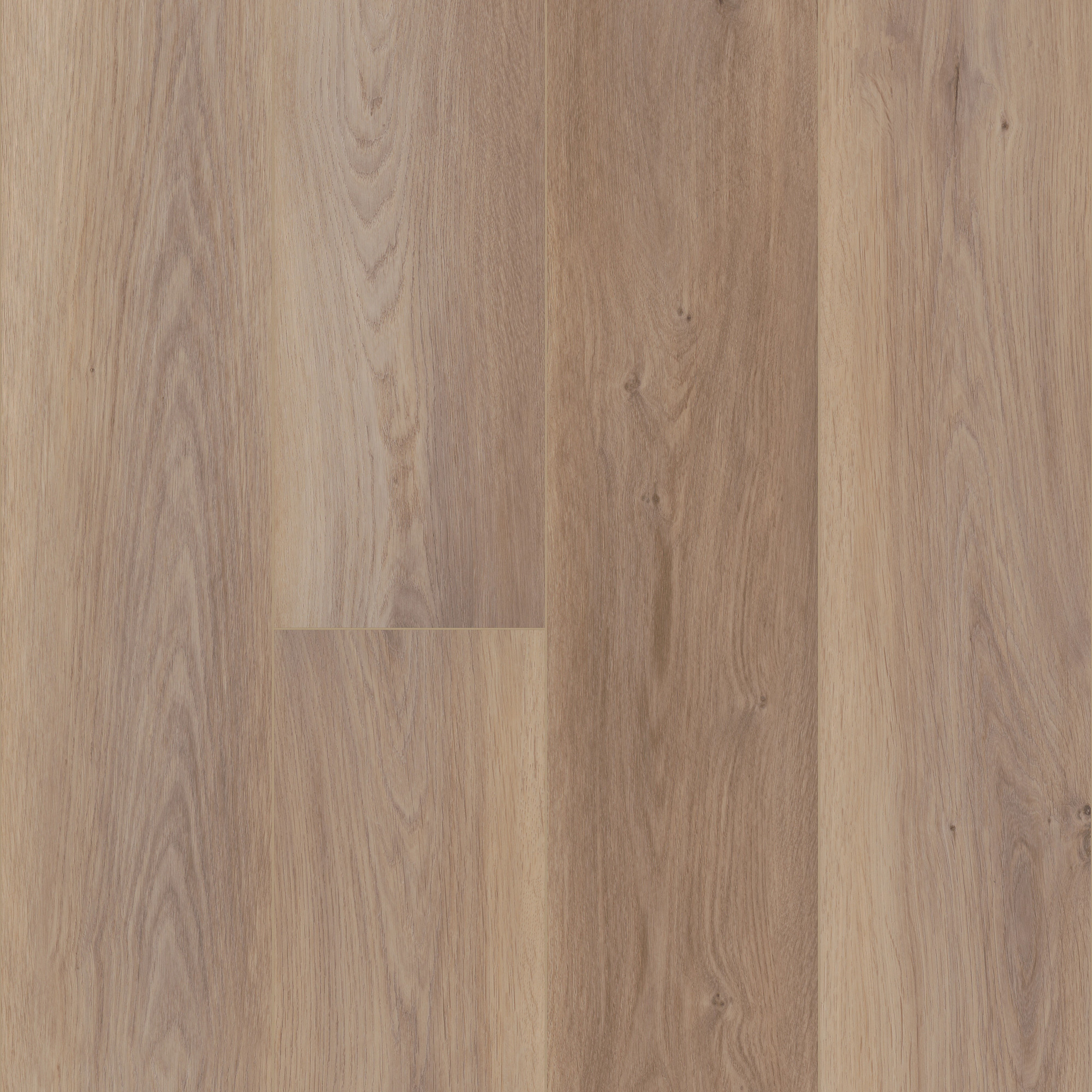 Wiltshire Oak, laid flat, seen from above