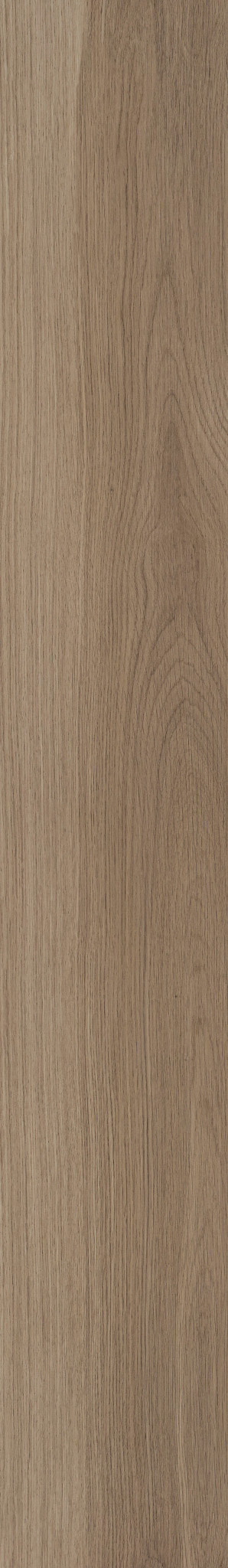 Almond Oak swatch