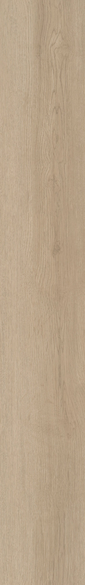 Mesa Oak swatch