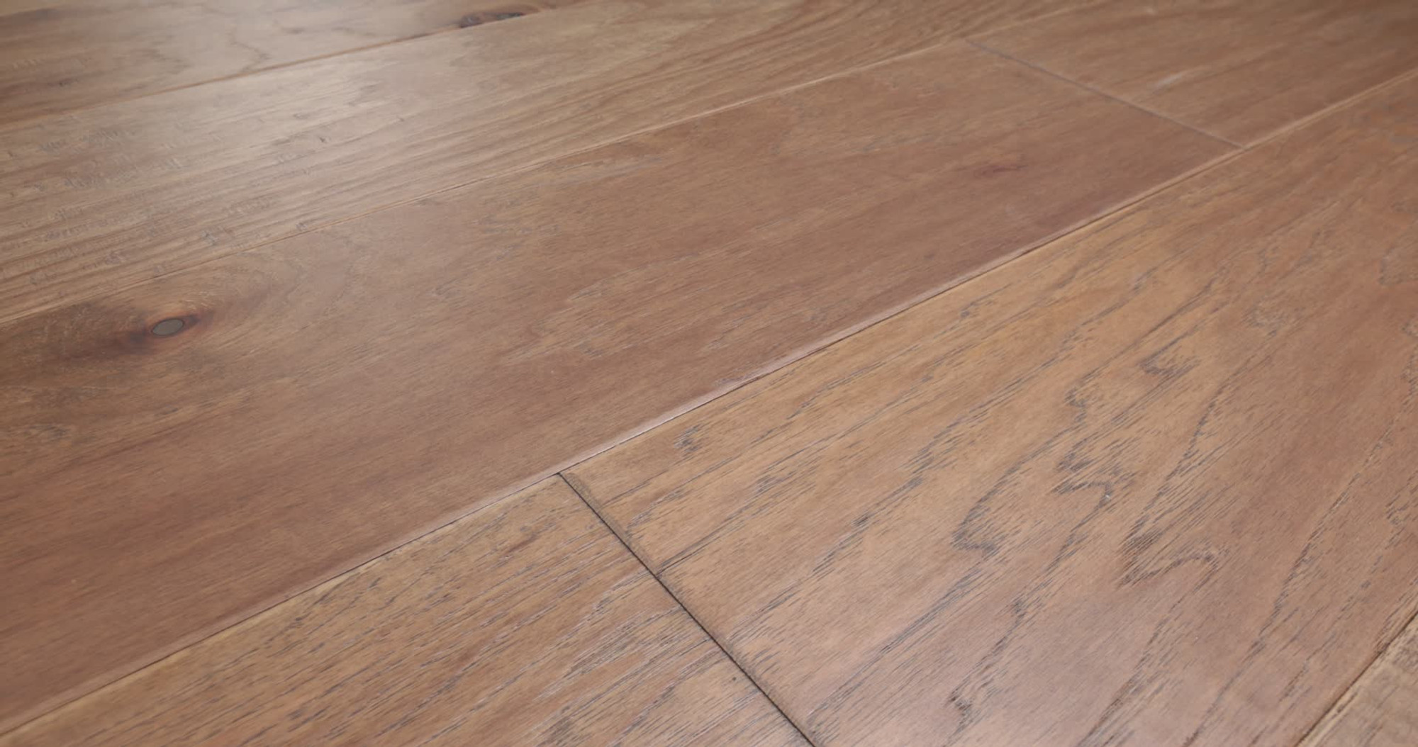 Cassia Bark, the manufacturer's 360 video