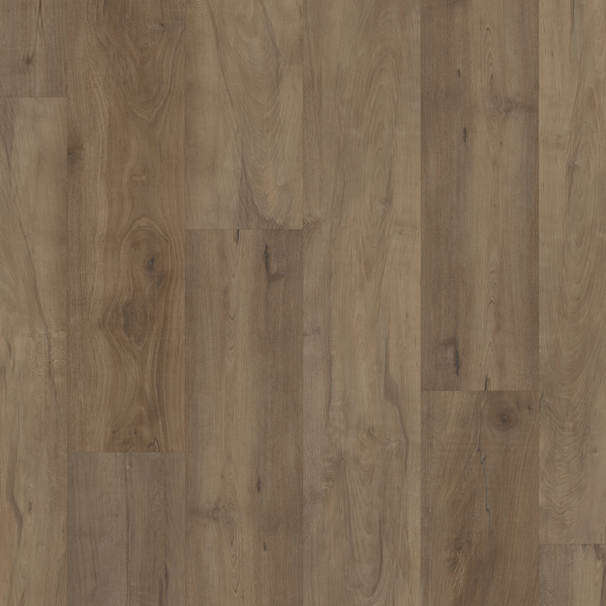 Warwick Maple swatch