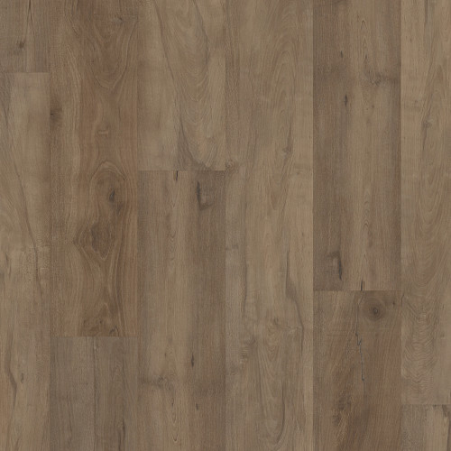 Warwick Maple