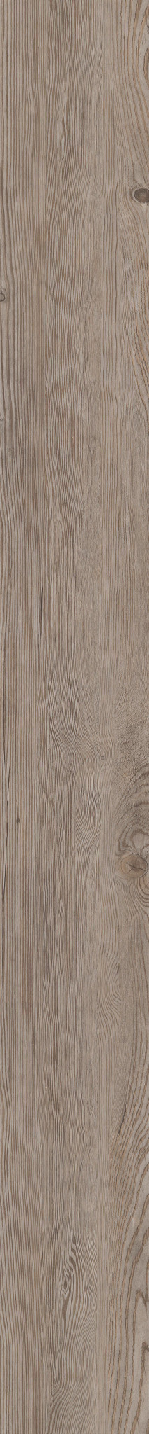 Corvallis Pine swatch