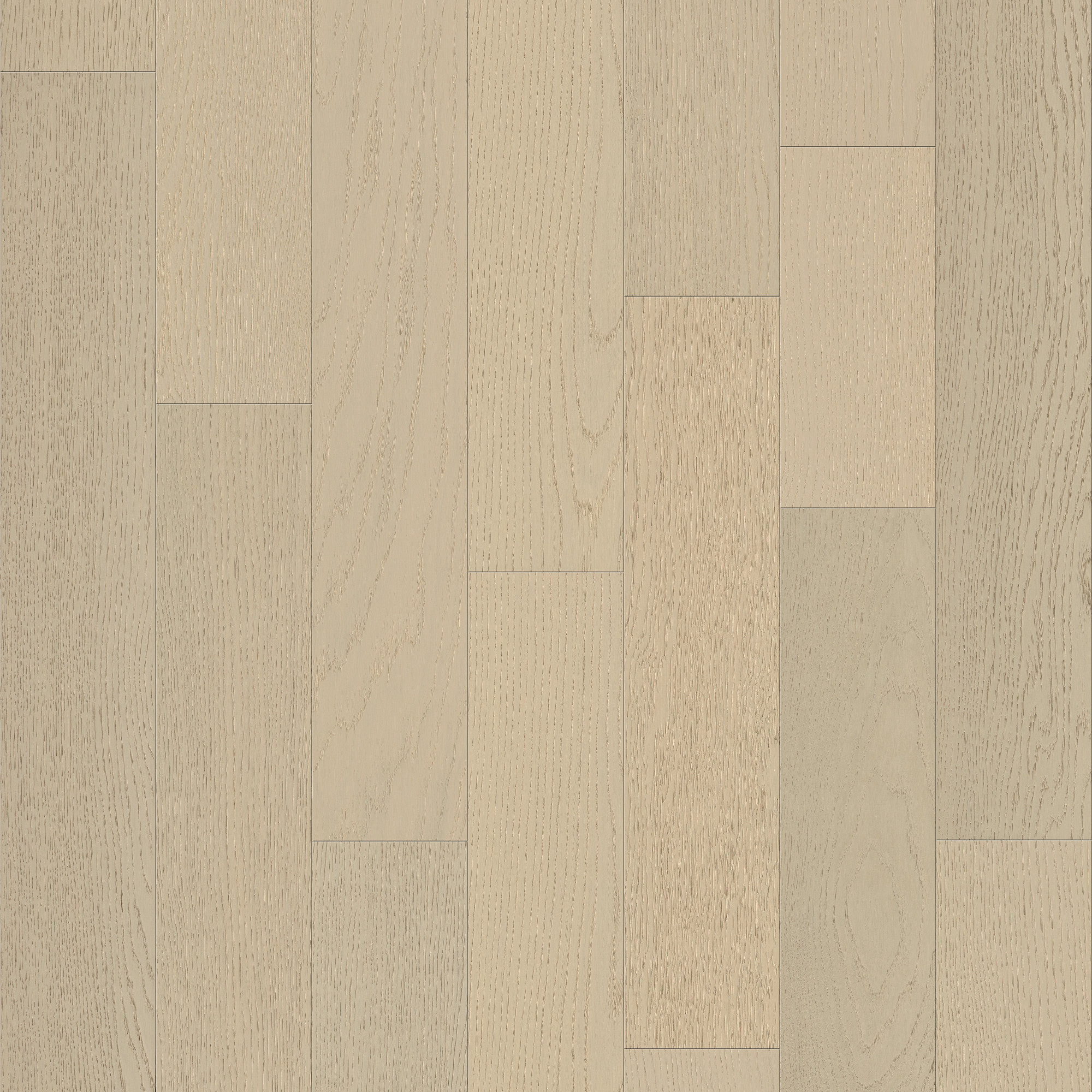 Astor swatch