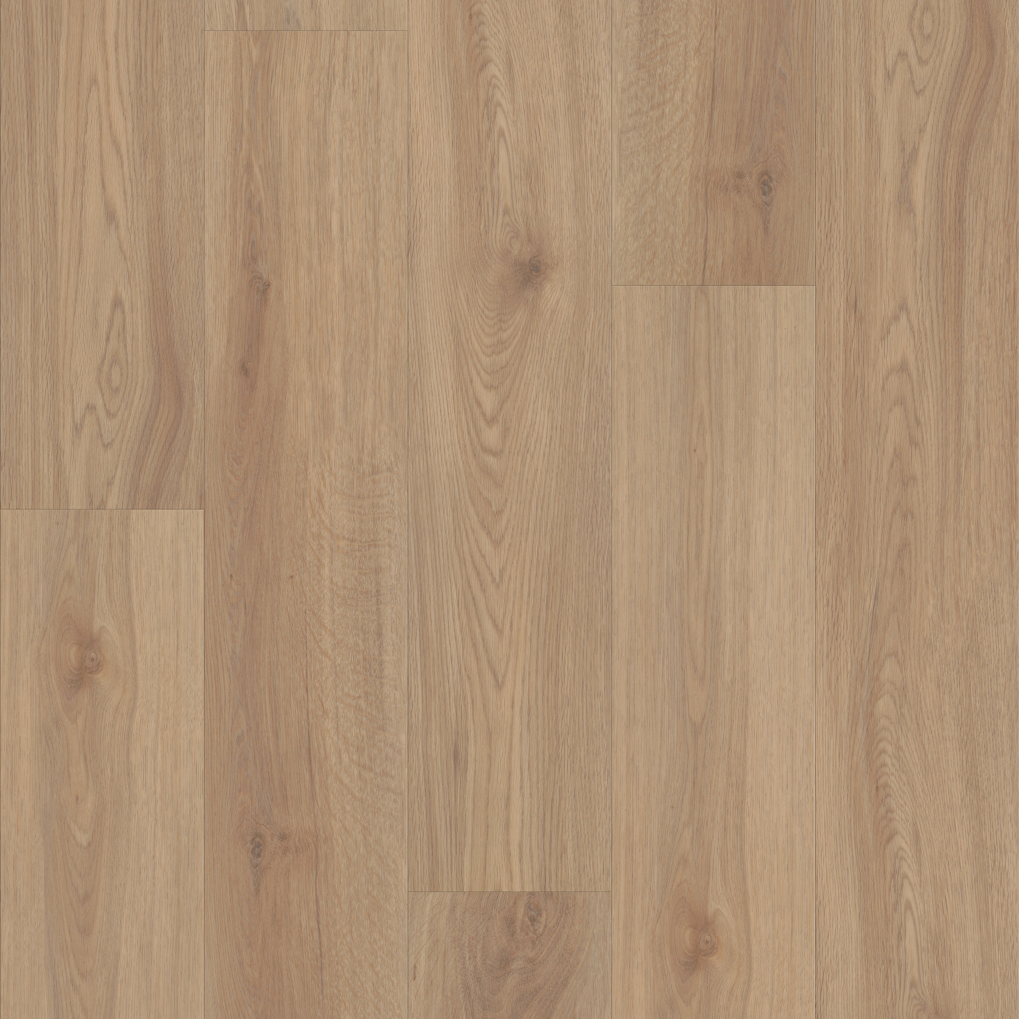 Springfield Oak swatch