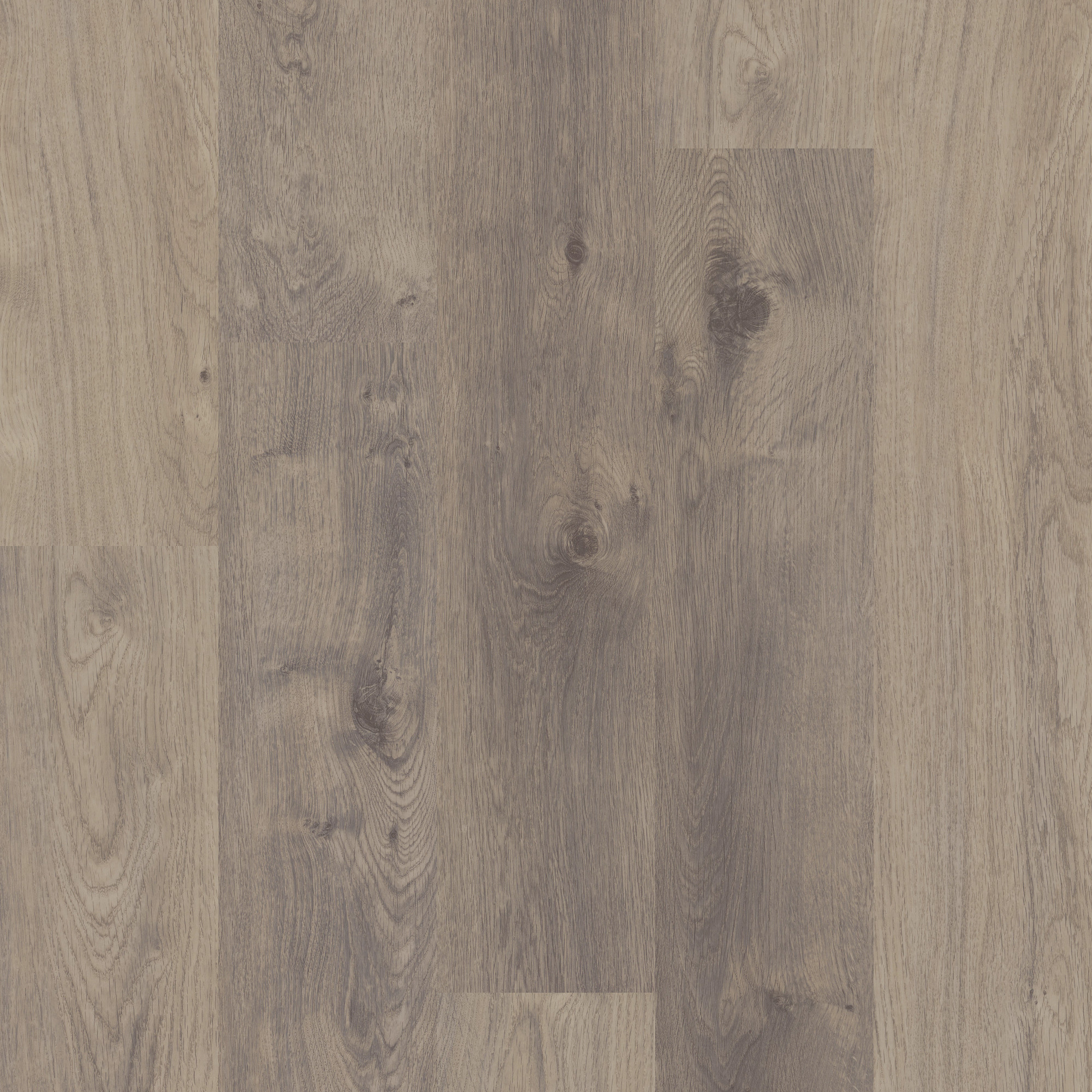 Stone Gray swatch