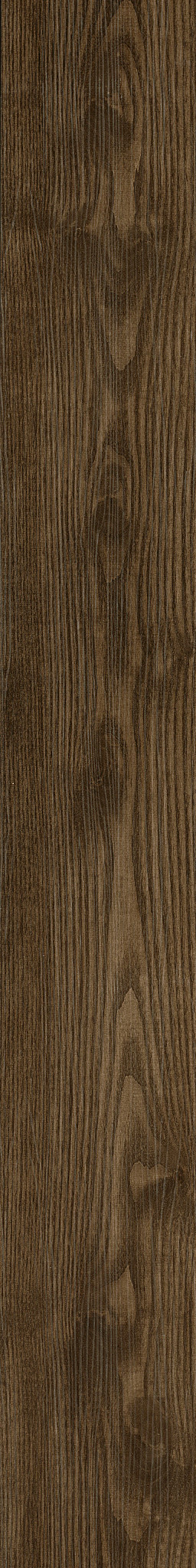 Sweetgum