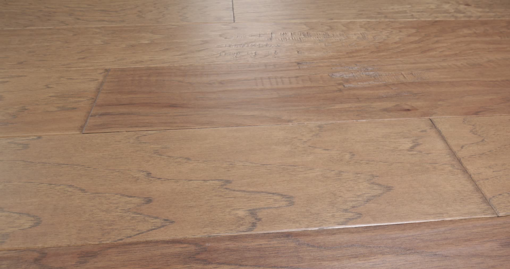Cassia Bark, the manufacturer's 360 video