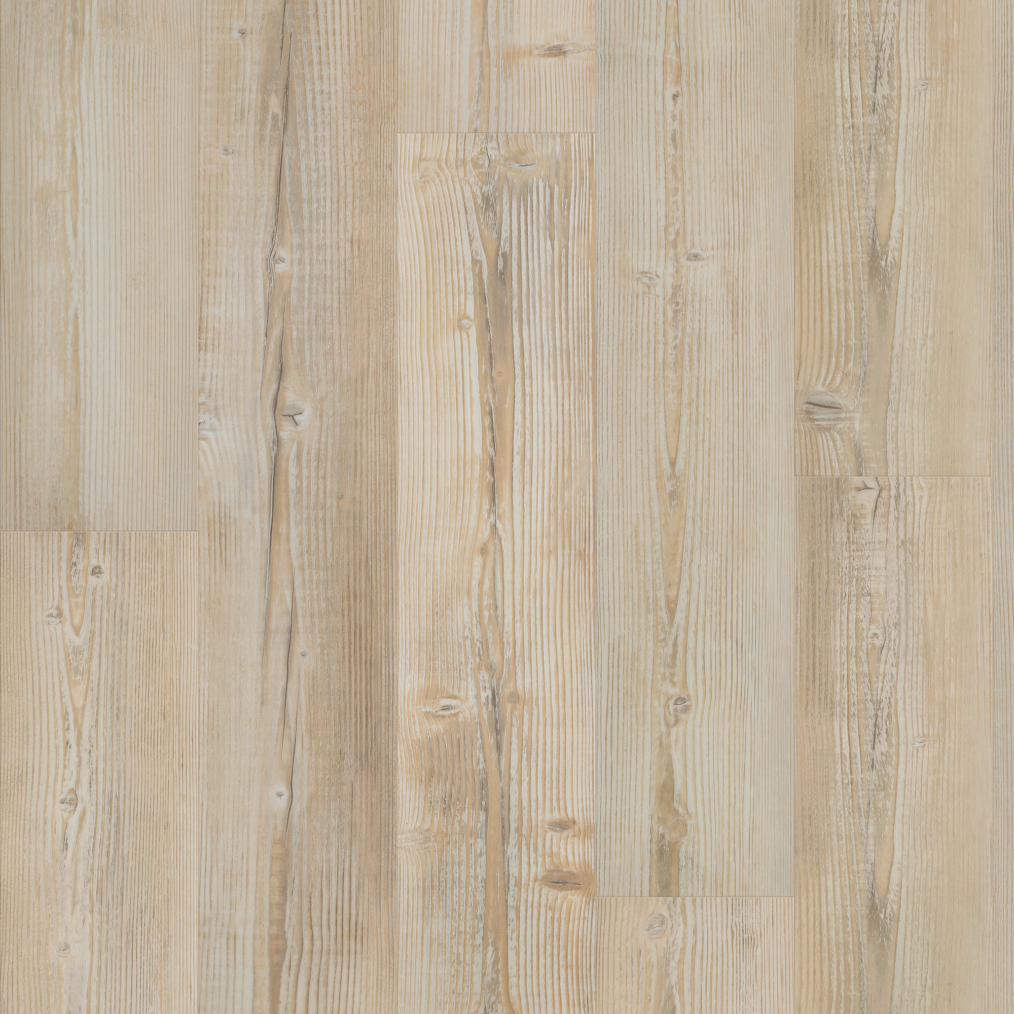 Sunlit Pine swatch