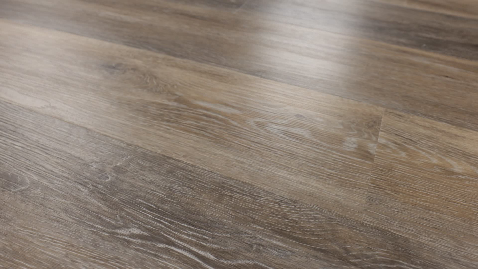 Blackstone Oak, the manufacturer's 360 video