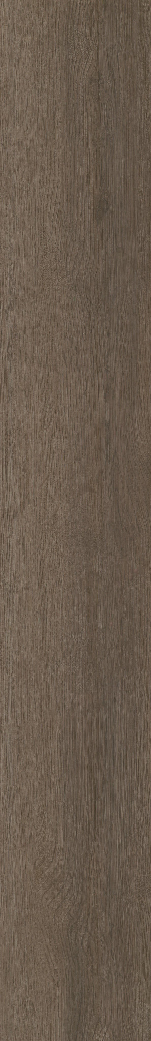 Seneca Oak swatch