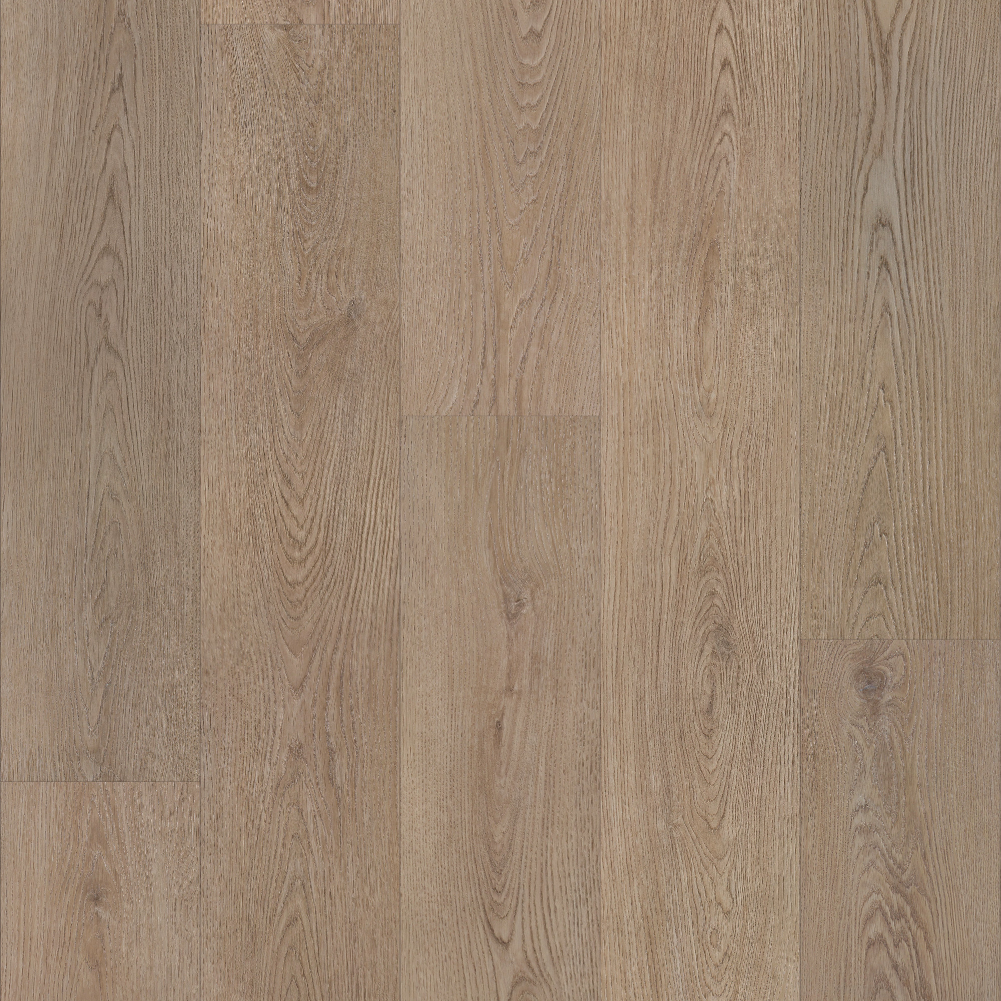 Smoky Oak, laid flat, seen from above