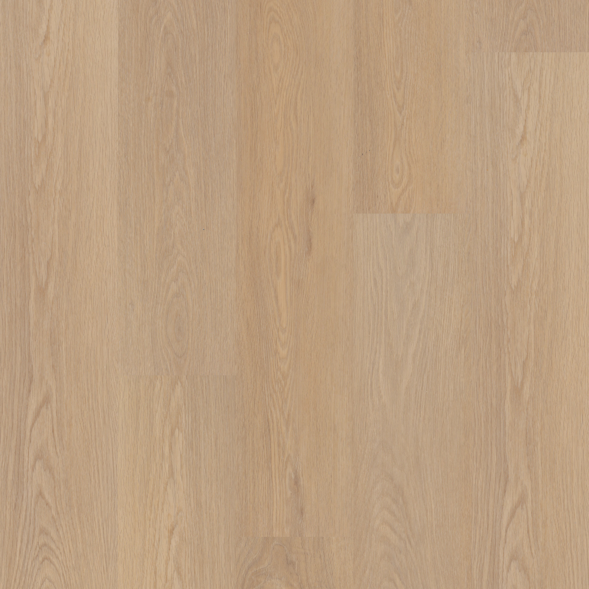 Timeless Oak swatch