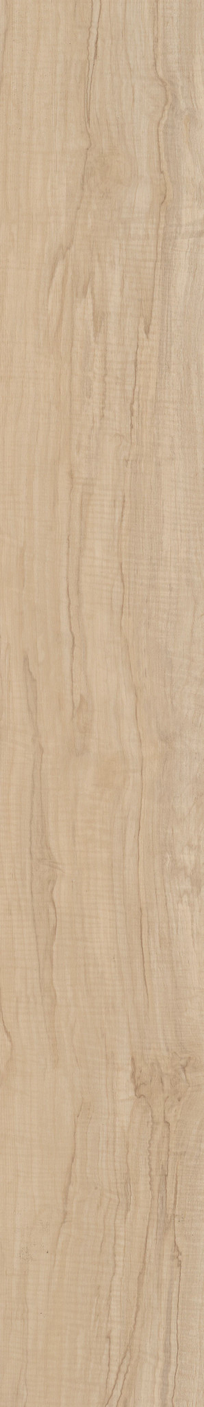Spalted Maple swatch