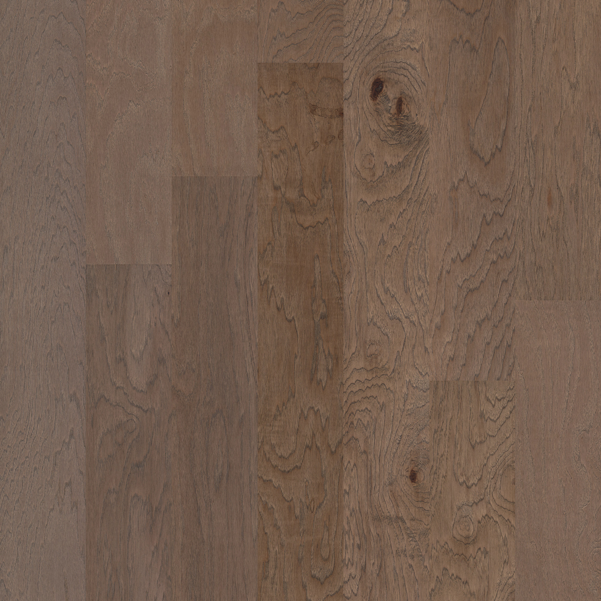 Morningside swatch