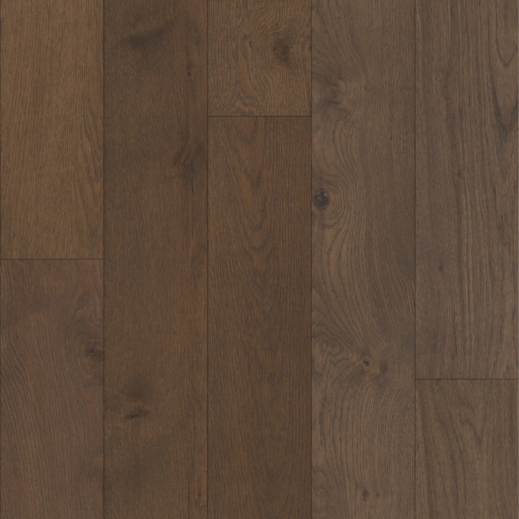 Eminence, laid flat, seen from above