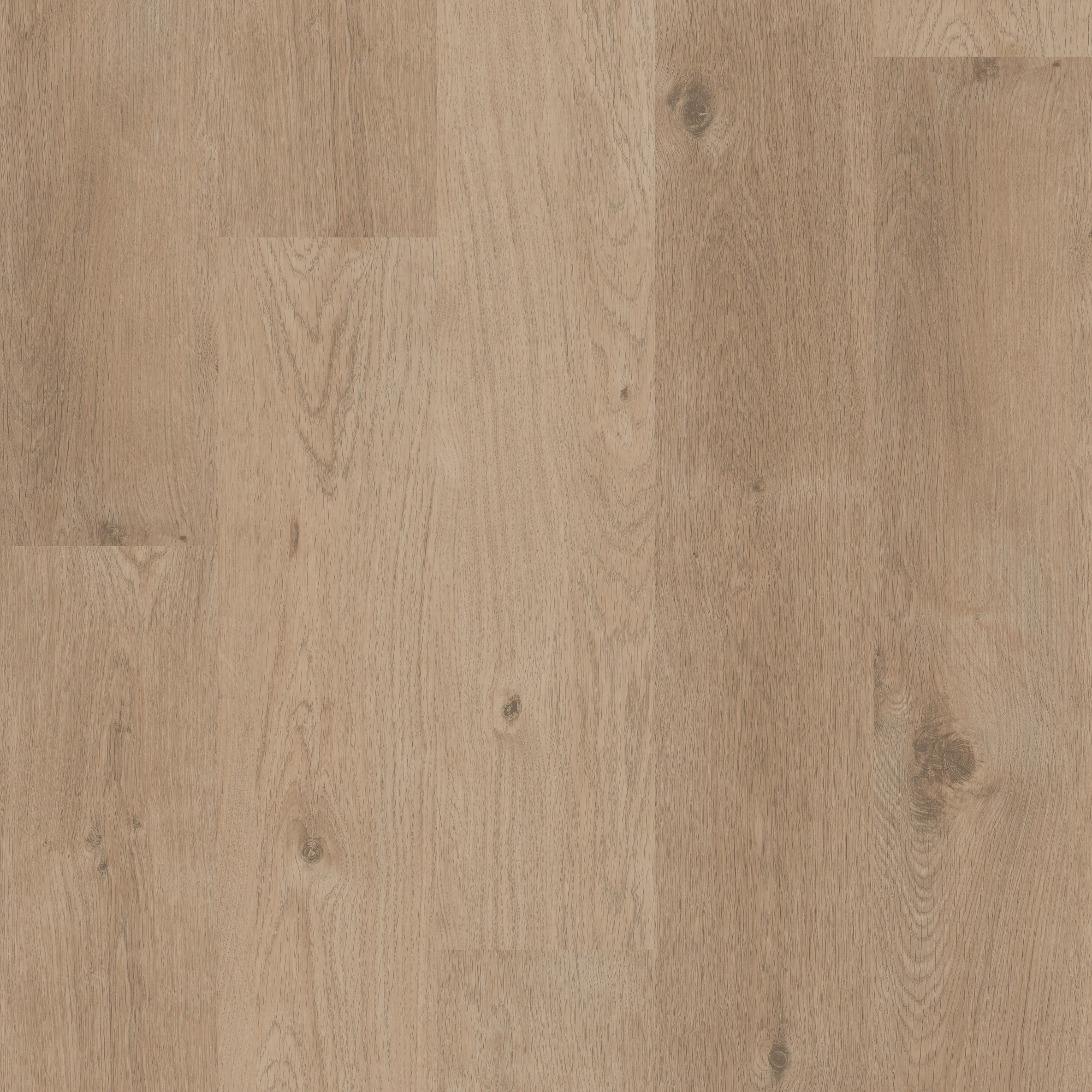 Golden Oak swatch