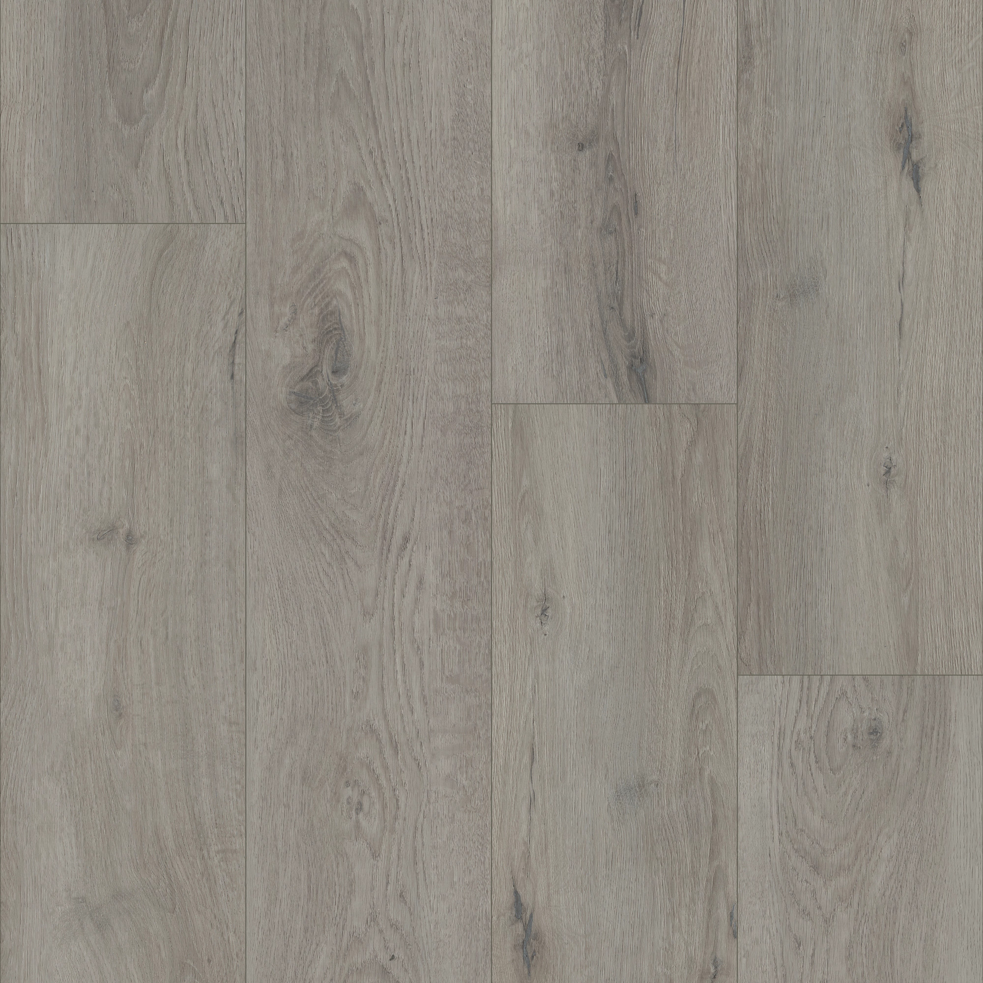 Tempest Grey swatch