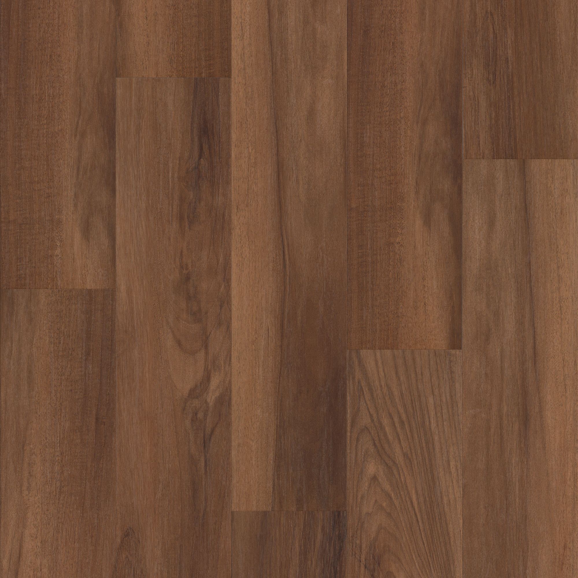 Amber Oak swatch