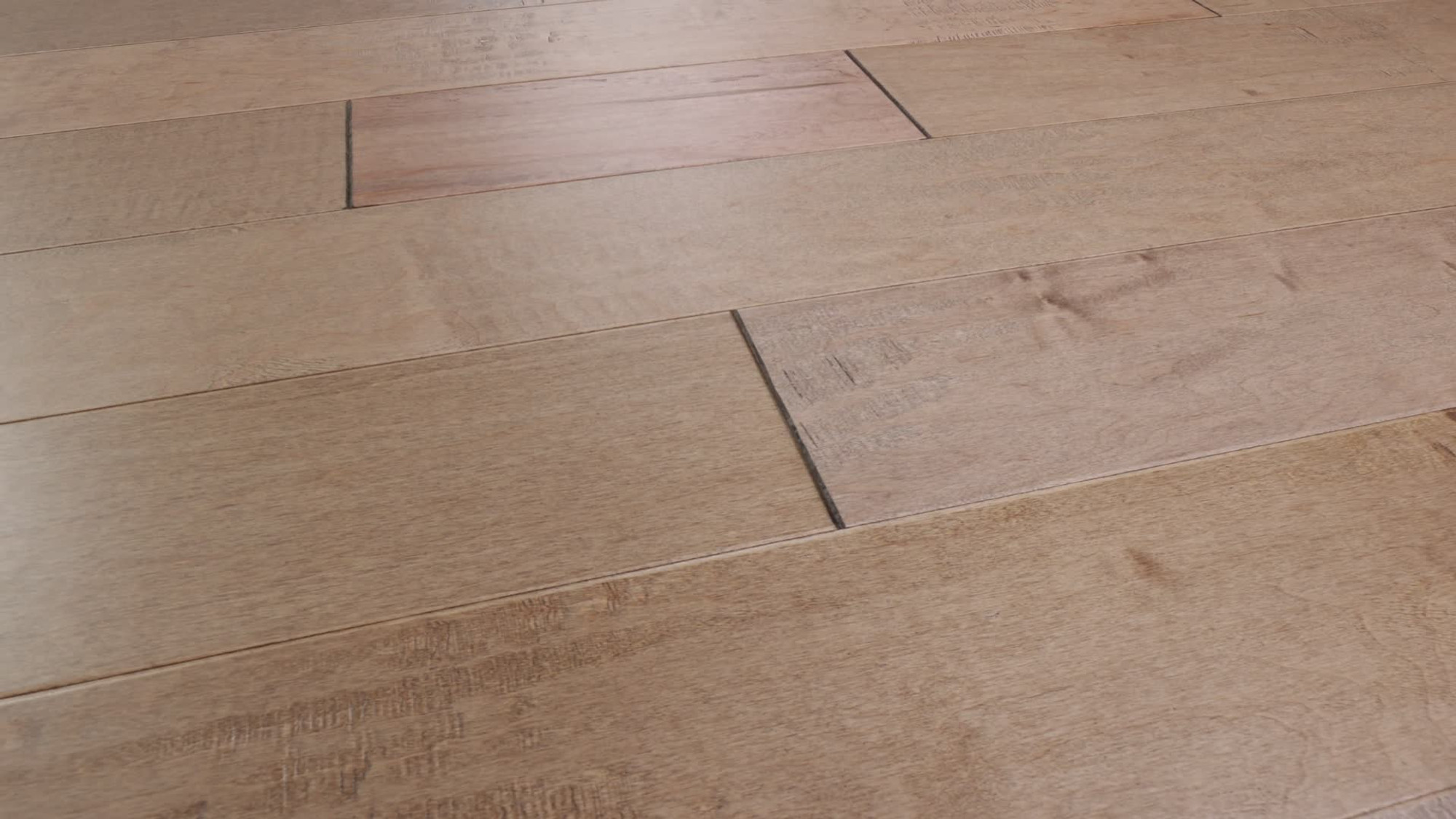Canvas Lg, the manufacturer's 360 video