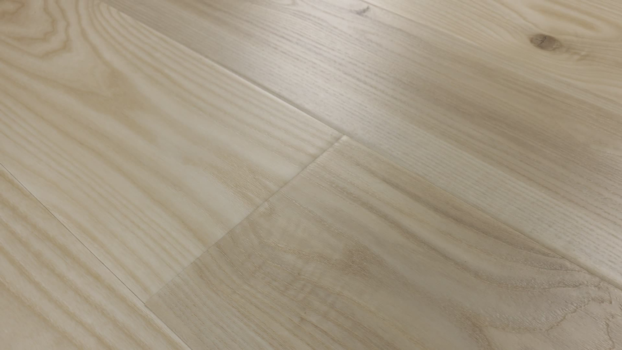 Savona, the manufacturer's 360 video