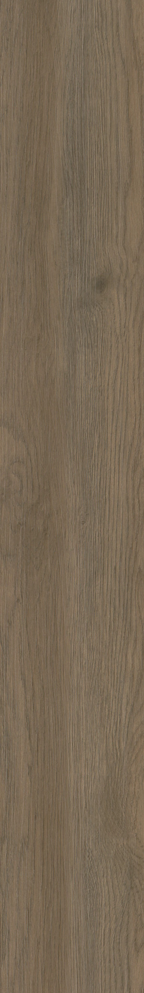 Native Pecan