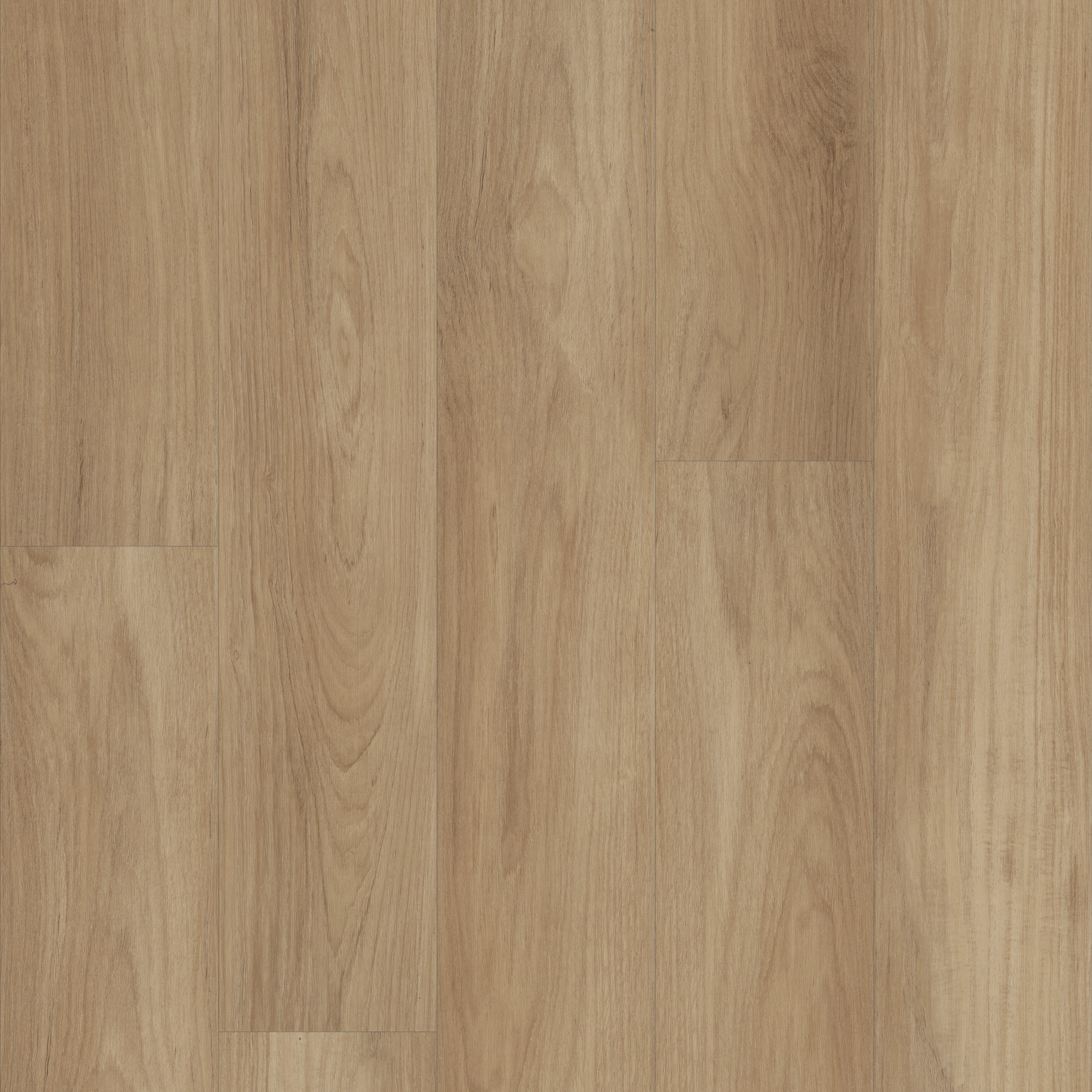 Hazelnut Brown swatch