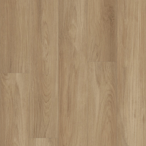 Hazelnut Brown