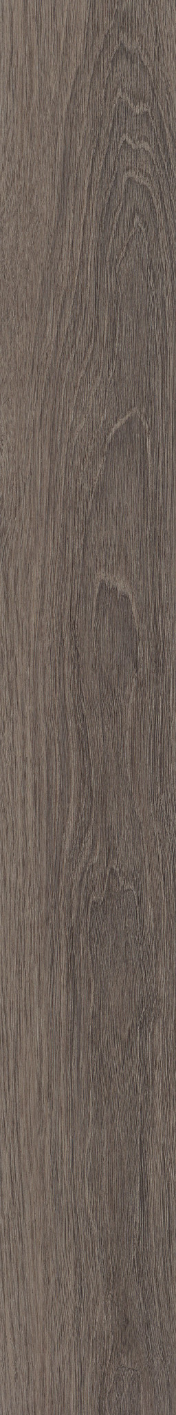 Delicate Pewter swatch