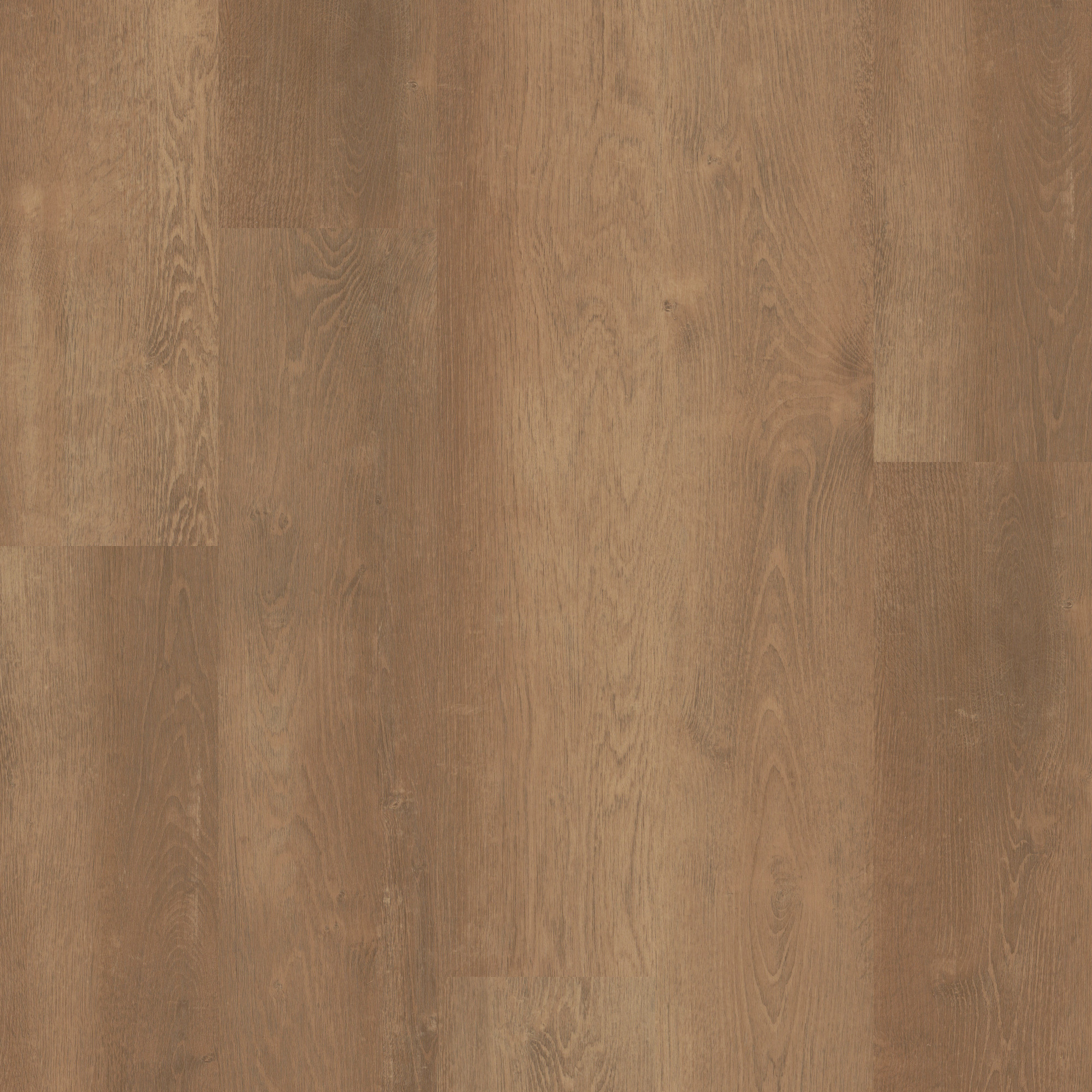 Amber Oak swatch
