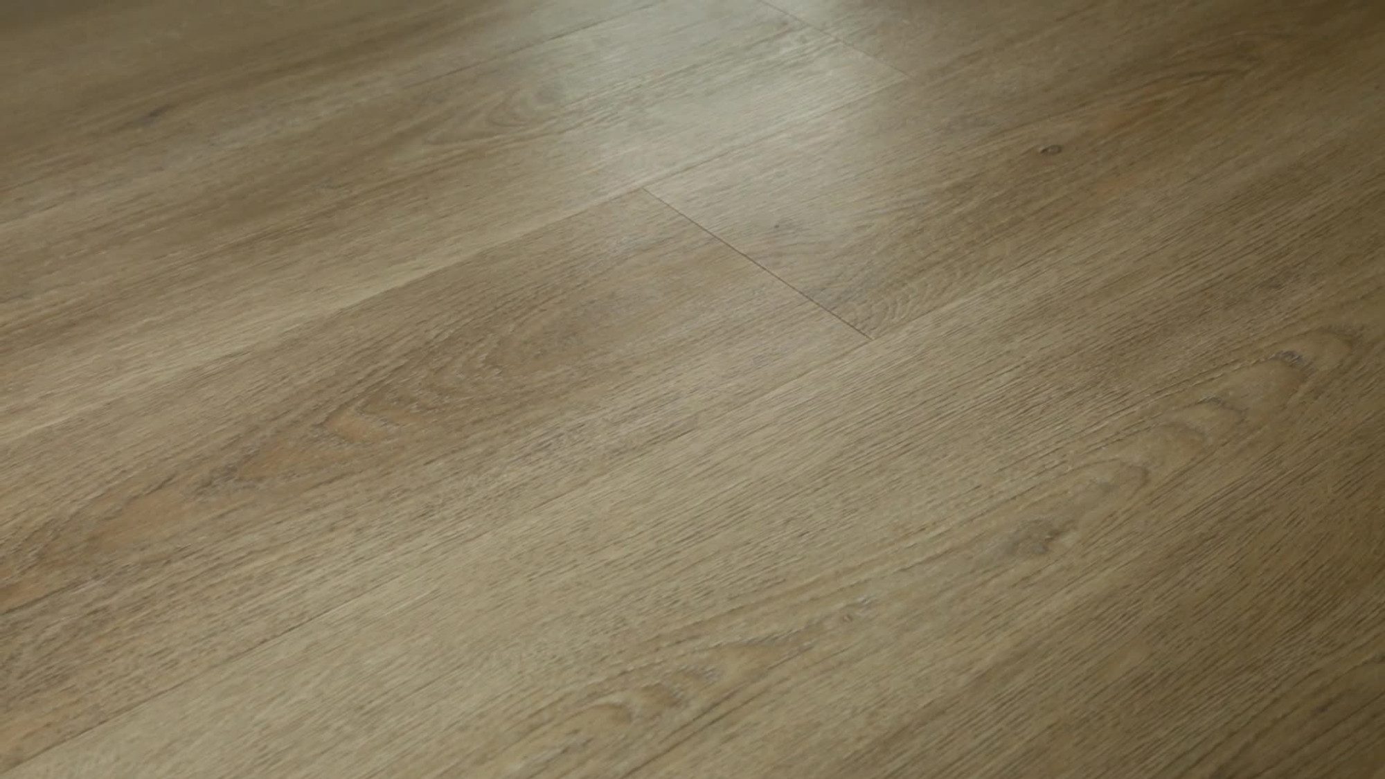 Brixton Oak, the manufacturer's 360 video