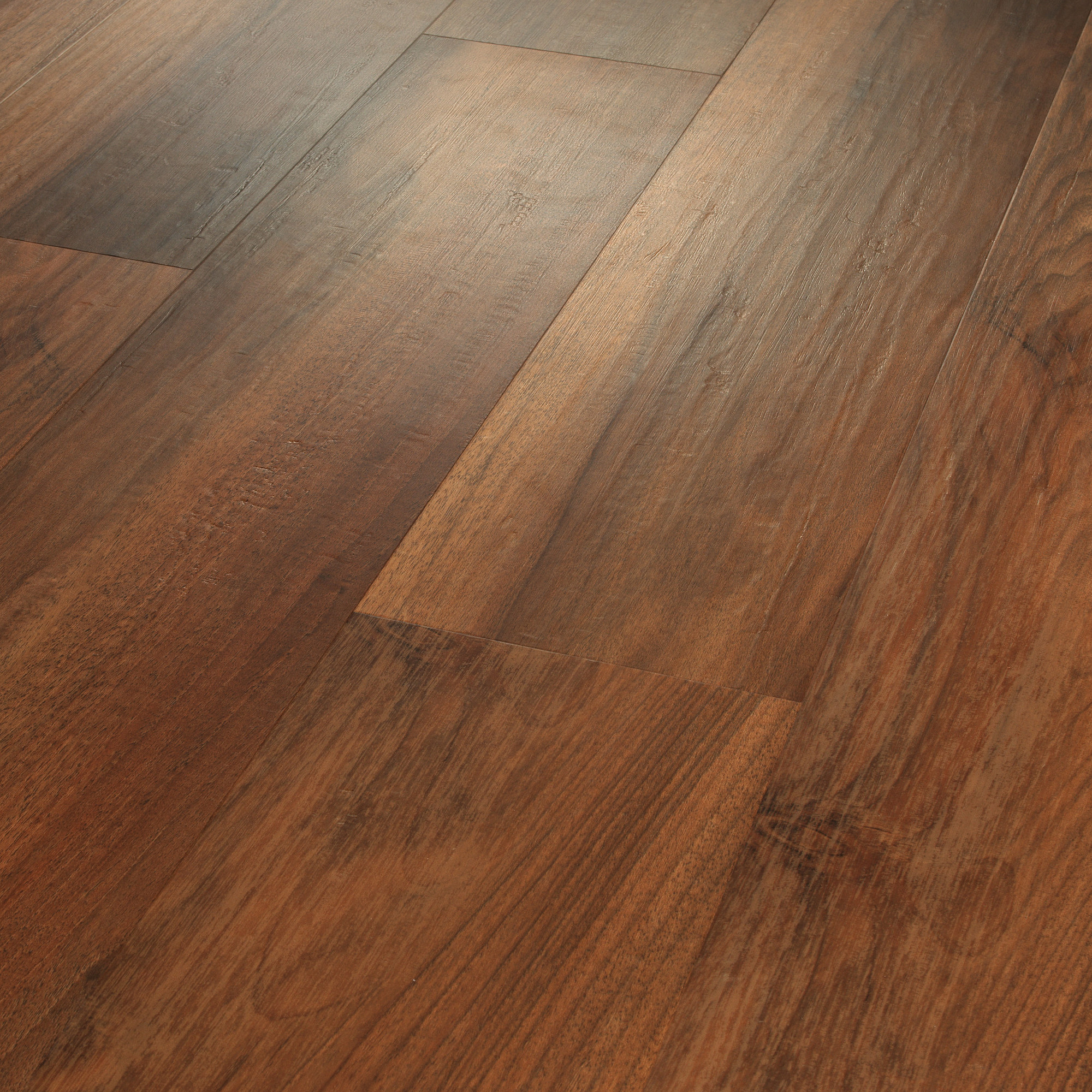 Amber Oak, seen at an angle